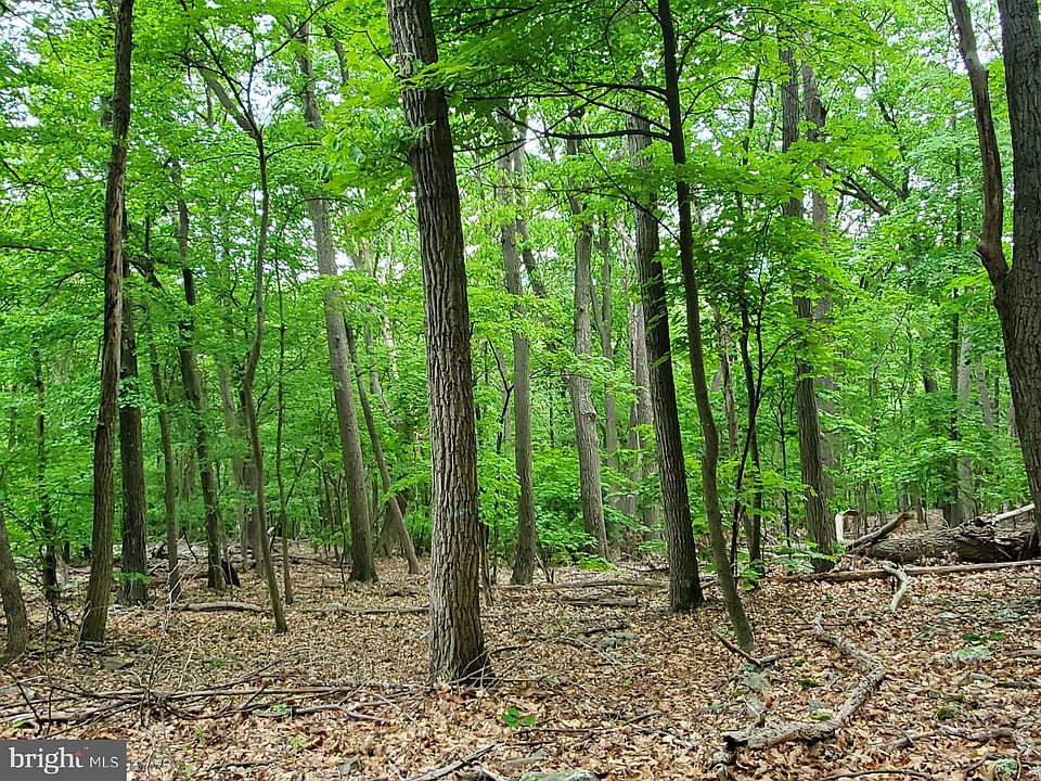 LOT24A & 24b Cove Crk, Baker, WV 26801 MLS WVHD2001096 Zillow
