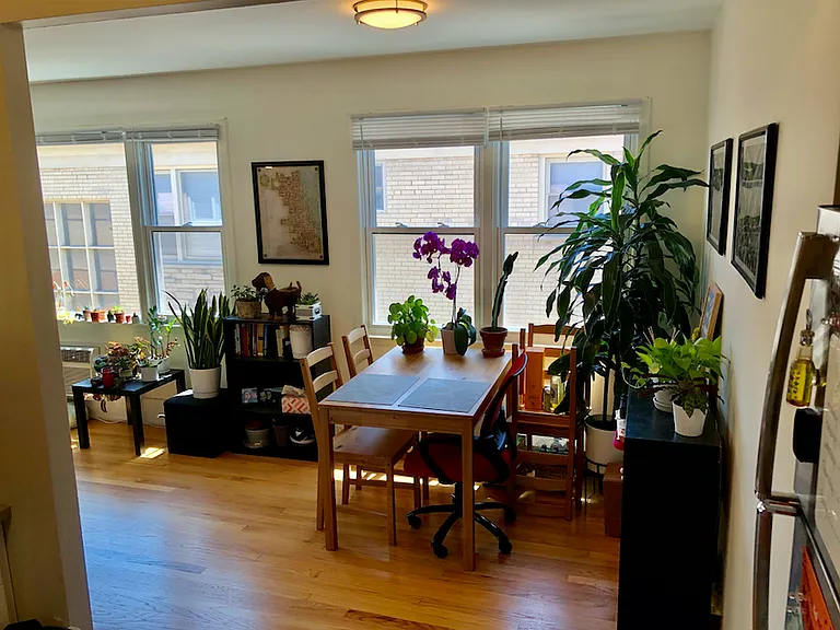 4544 N Wolcott Ave #8 — Photo 6