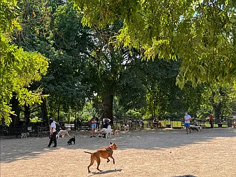 Rented by Dallien Realty Limited Liability Company