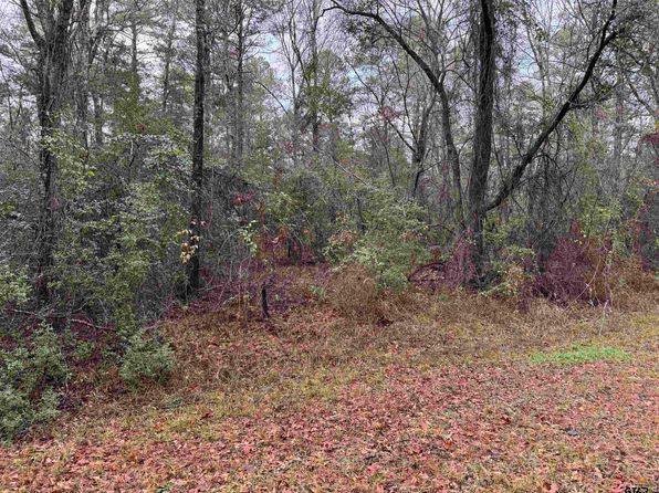 County Road 240 N, Henderson, TX 75652