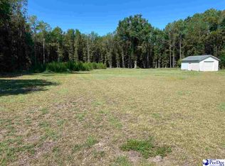 3998 Lee State Park Rd, Bishopville, SC 29010
