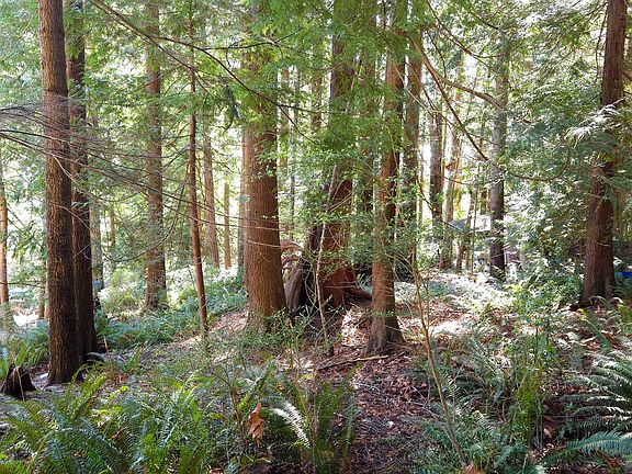 2nd image of LOT 5 Gavin Rd