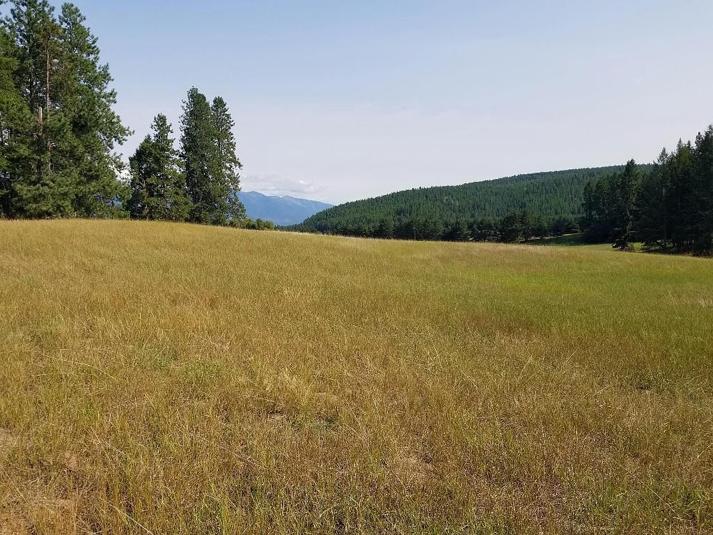 205 Swan Hill Dr, Bigfork, MT 59911 Zillow