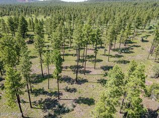 Tbd Dynamite Rd, Lakeside, AZ 85929