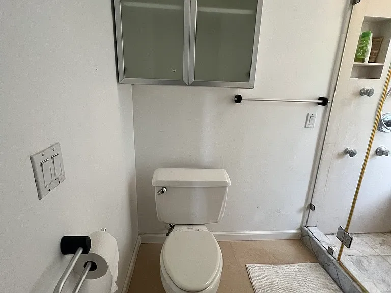 Toilet and storage cabinet in primary suite