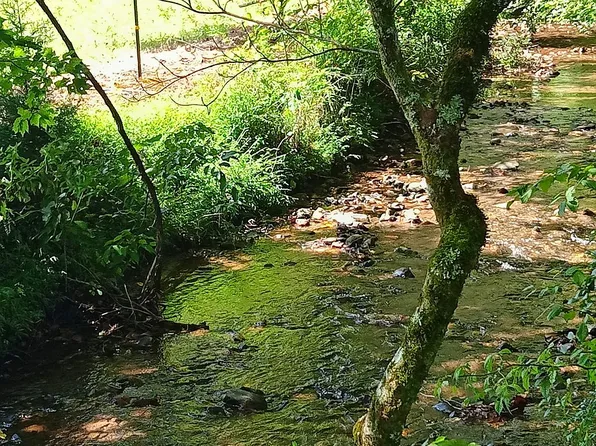 72 N Brooks Cove Rd, Hayesville, NC 28904