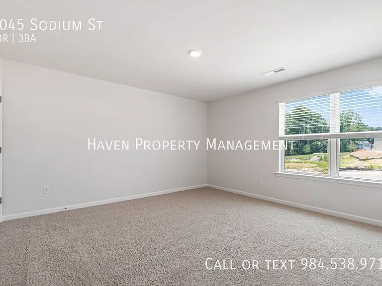6045 Sodium St — Photo 40