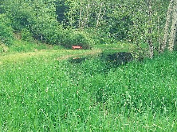 Trout pond is 8-9 feet deep 