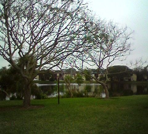 Pond viewable from bedroom window