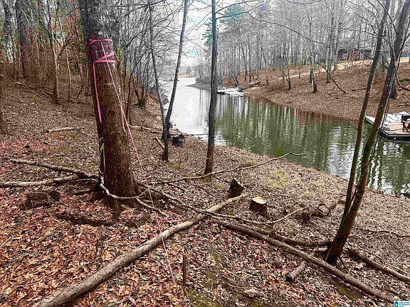 5th image of Long Point Rd #58