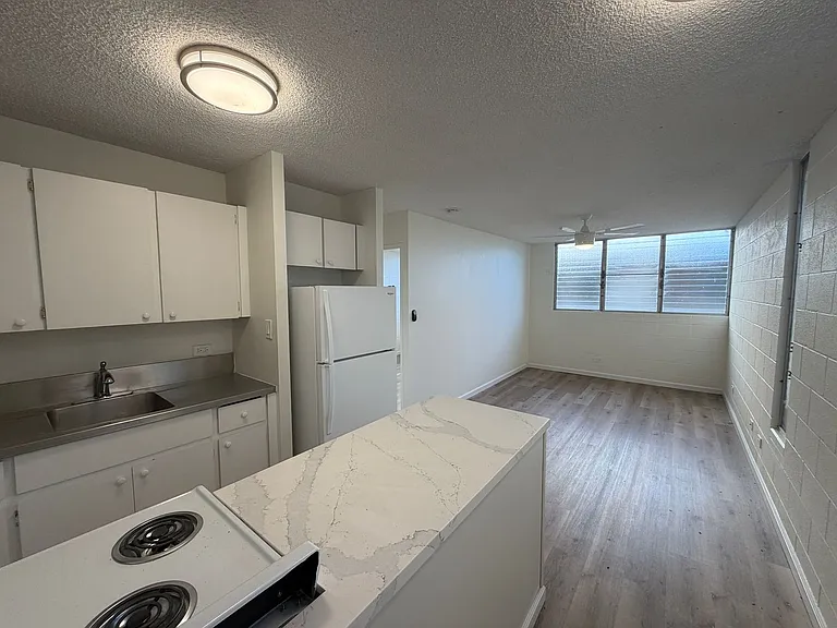 1623 Alapai St — Photo 14