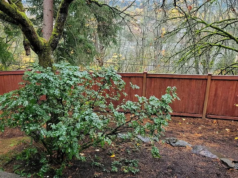 9474 Redmond Woodinville Rd NE #A201 — Photo 21