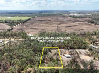 198 NE Blackjack Loop, Lee, FL 32059