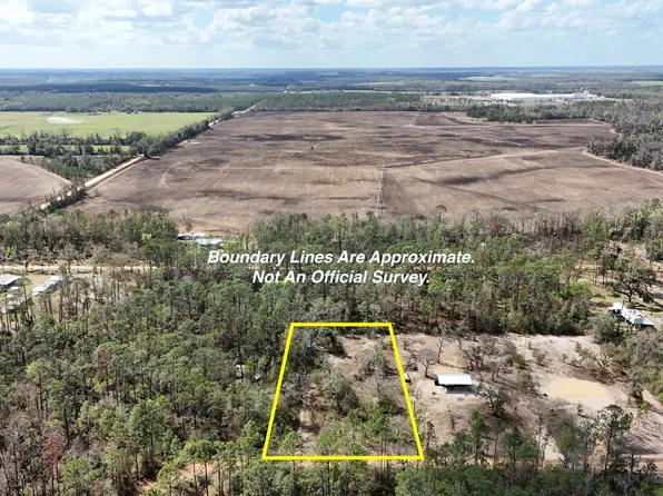 198 NE Blackjack Loop, Lee, FL 32059