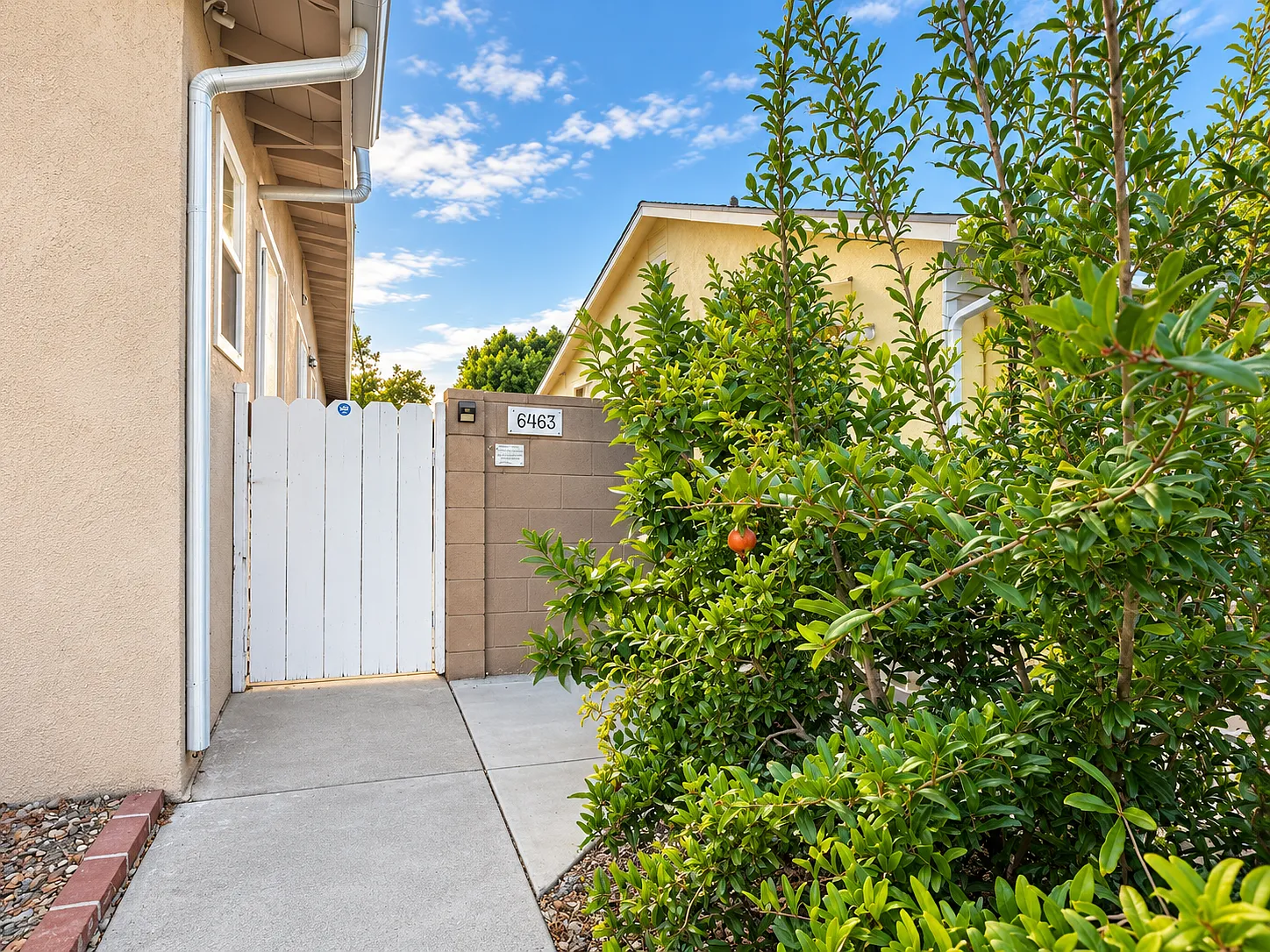 1 bed, 419 sqft, $1,999 — Photo 2