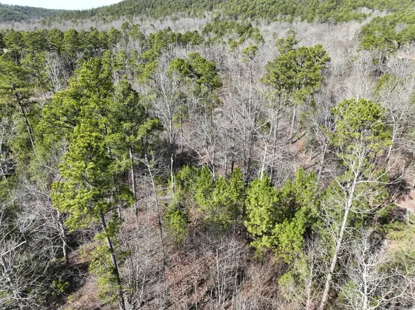 TRACT 11 Big Fork Mountain Valley Ln, Mena, AR 71953