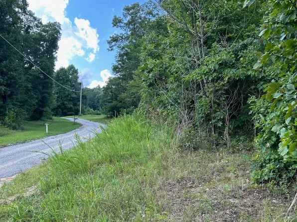 16 Raccoon Rdg, Spring City, TN 37381