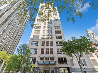 1035 N Dearborn St UNIT 5W, Chicago, IL, 60610