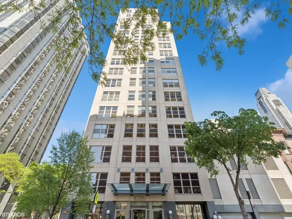 1035 N Dearborn St Unit 5W, Chicago, IL 60610