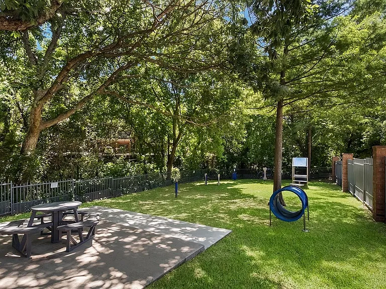 Create memories in our on-site dog park