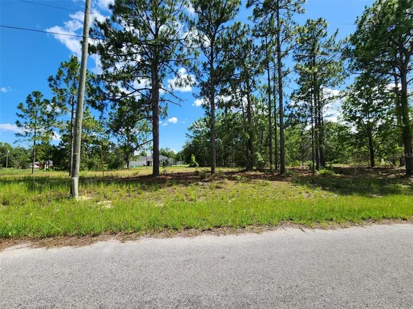 Malauka Radial Run Lot 22, Ocklawaha, FL 32179