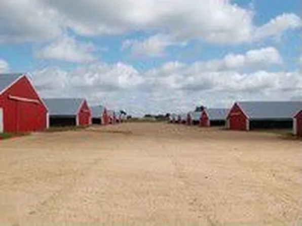 1923 Patrick Church Rd, Bernice, LA 71222