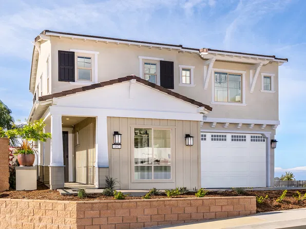 Plan 3 Plan, Citrus Oak