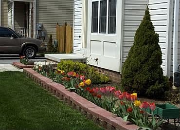 Front Planter w/Tulips