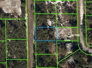 140 Eula Rd NW, Lake Placid, FL 33852