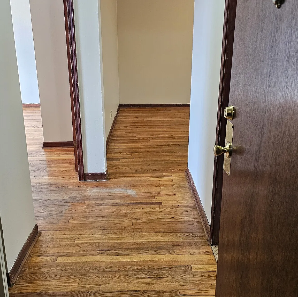 1 bed, 1.0 bath, $1,595 — Photo 1