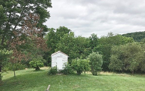 2nd image of 265 Asbury Rd