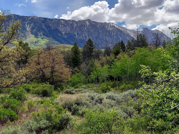 133 Tbd Hwy, Somerset, CO 81434