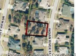 3425 Indian River St, Spring hill, FL 34609