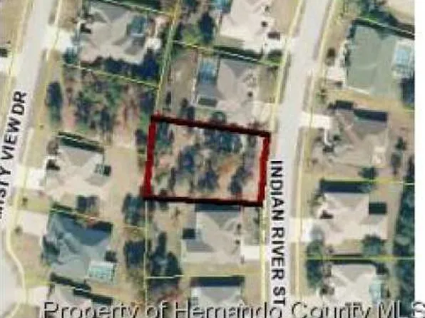3425 Indian River St, Spring Hill, FL 34609
