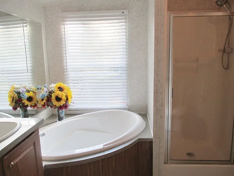Large tub with separate shower in master bath