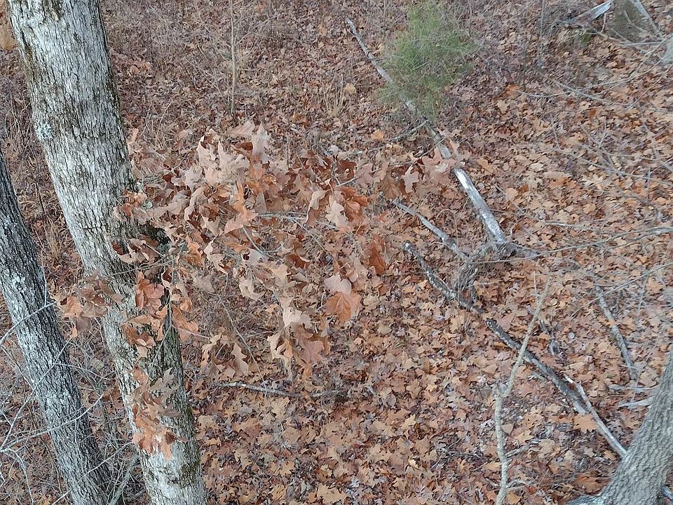 1st image of 956 County Road 244