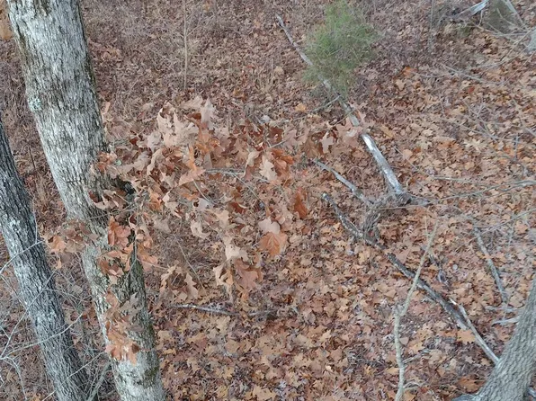 956 County Road 244, Russellville, AL 35654