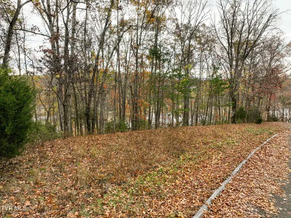 121 Pointe Dr, Piney Flats, TN 37686