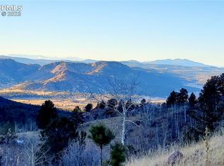 161 Last Dollar Dr, Cripple Creek, CO 80813
