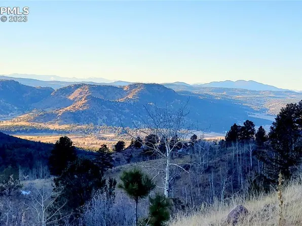 161 Last Dollar Dr, Cripple Creek, CO 80813