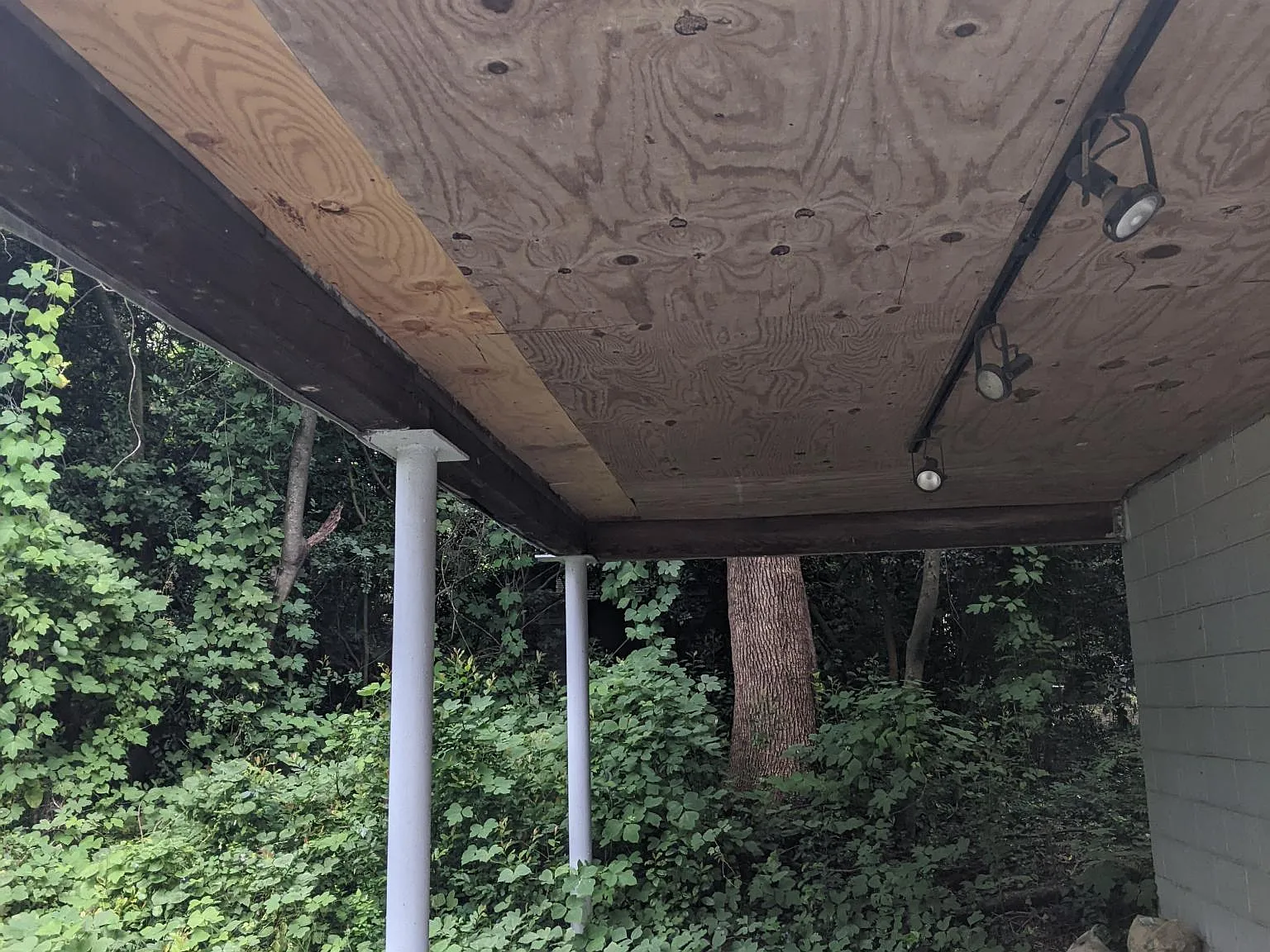 1 bed, 714 sqft, $1,425 — Photo 3