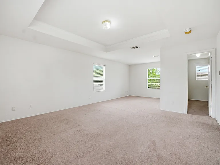 20526 Blue Trinity — Photo 16
