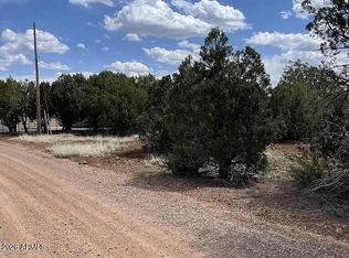 1879 Turkey Flat Pl #17, Show Low, AZ 85901