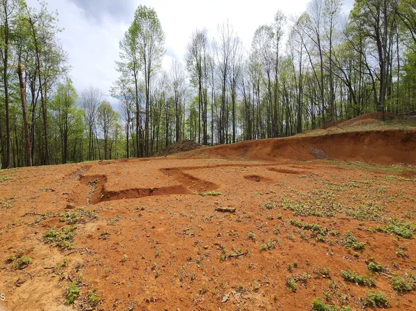 345 Greentree Dr, Blountville, TN 37617