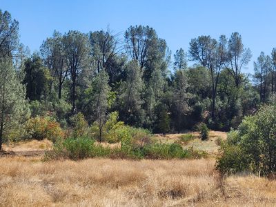 E Stillwater Way, Redding, CA, 96003