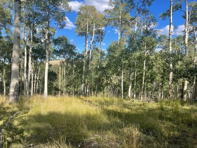 3&4 Green Meadow Acres #D, Brian Head, UT, 84719