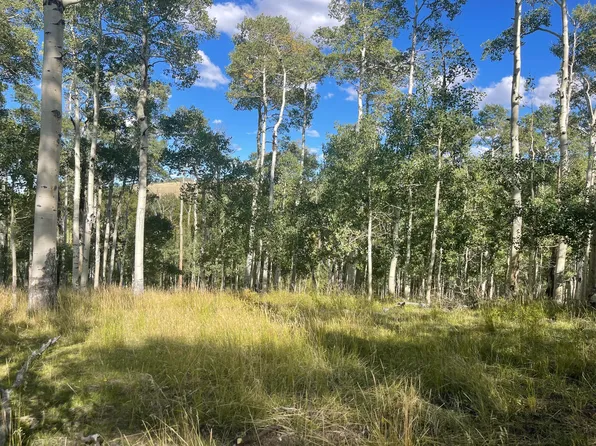 3&4 Green Meadow Acres #D, Brian Head, UT 84719