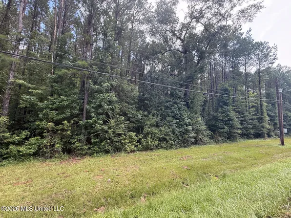 253 Red Dog Rd, Carthage, MS 39051