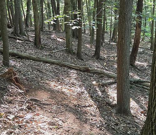 4th image of 0 Ridge Rd