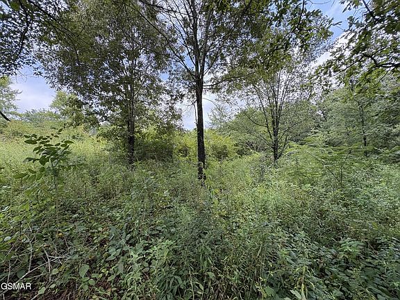 3rd image of 34 Midway Rd